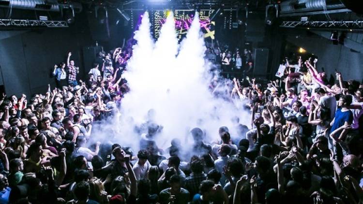 The Paradise club