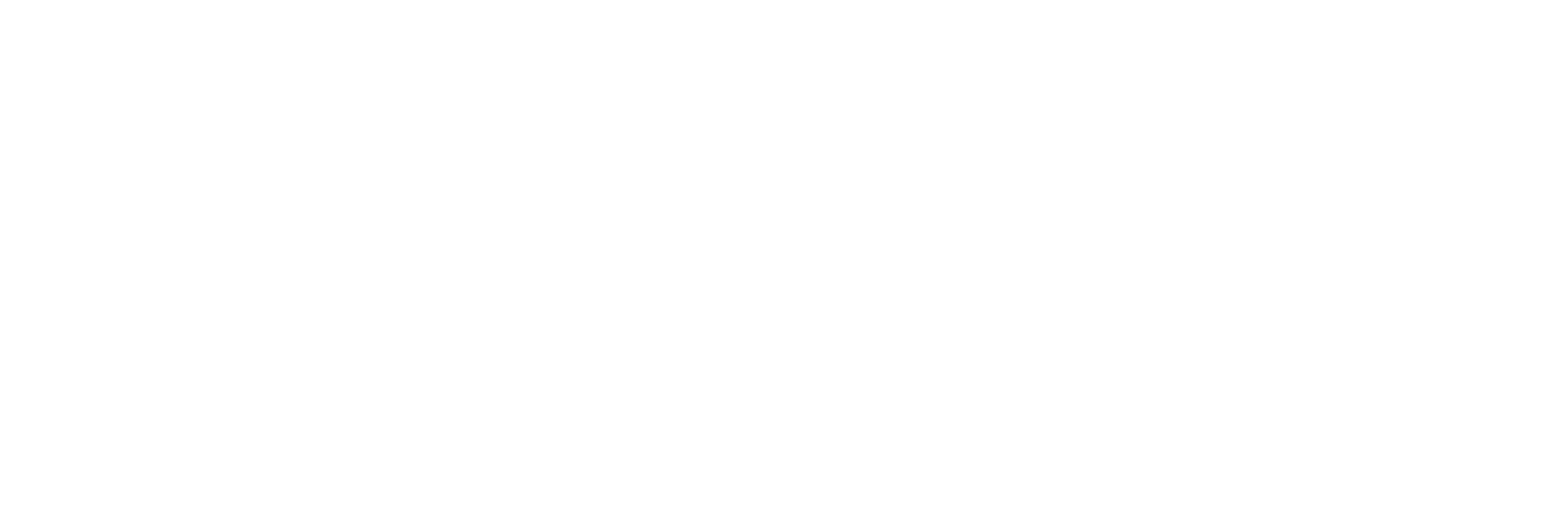 The Paradise logo
